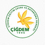 ChatGPT Image 20 Tem 2026 12_19_41
